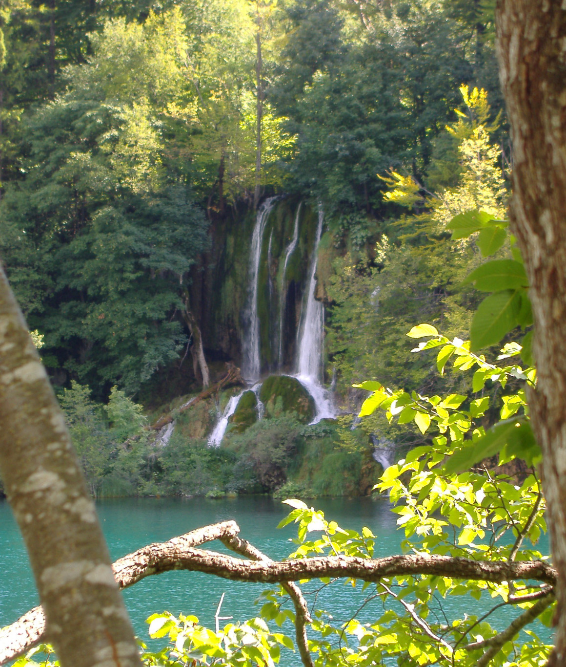 cro 2